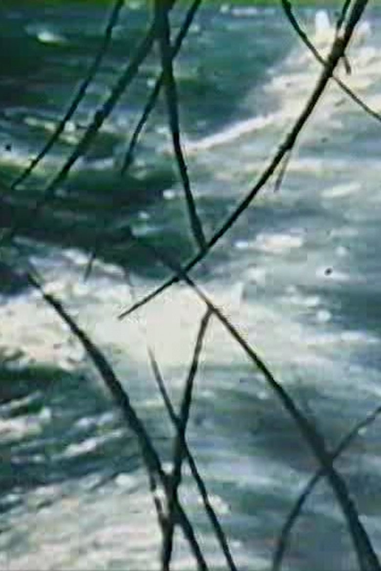 Poster of The Time Slit