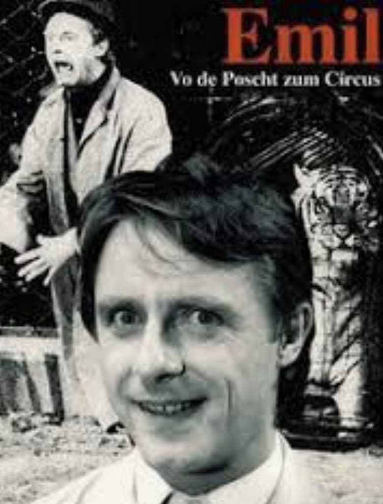 Poster of Emil auf der Post