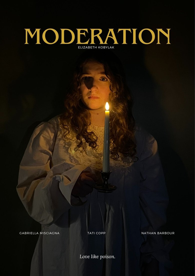 Poster of Moderation