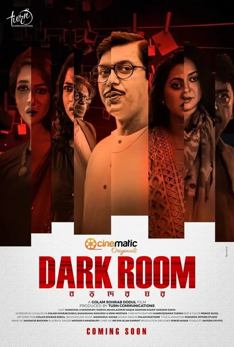 Poster of Dark Room