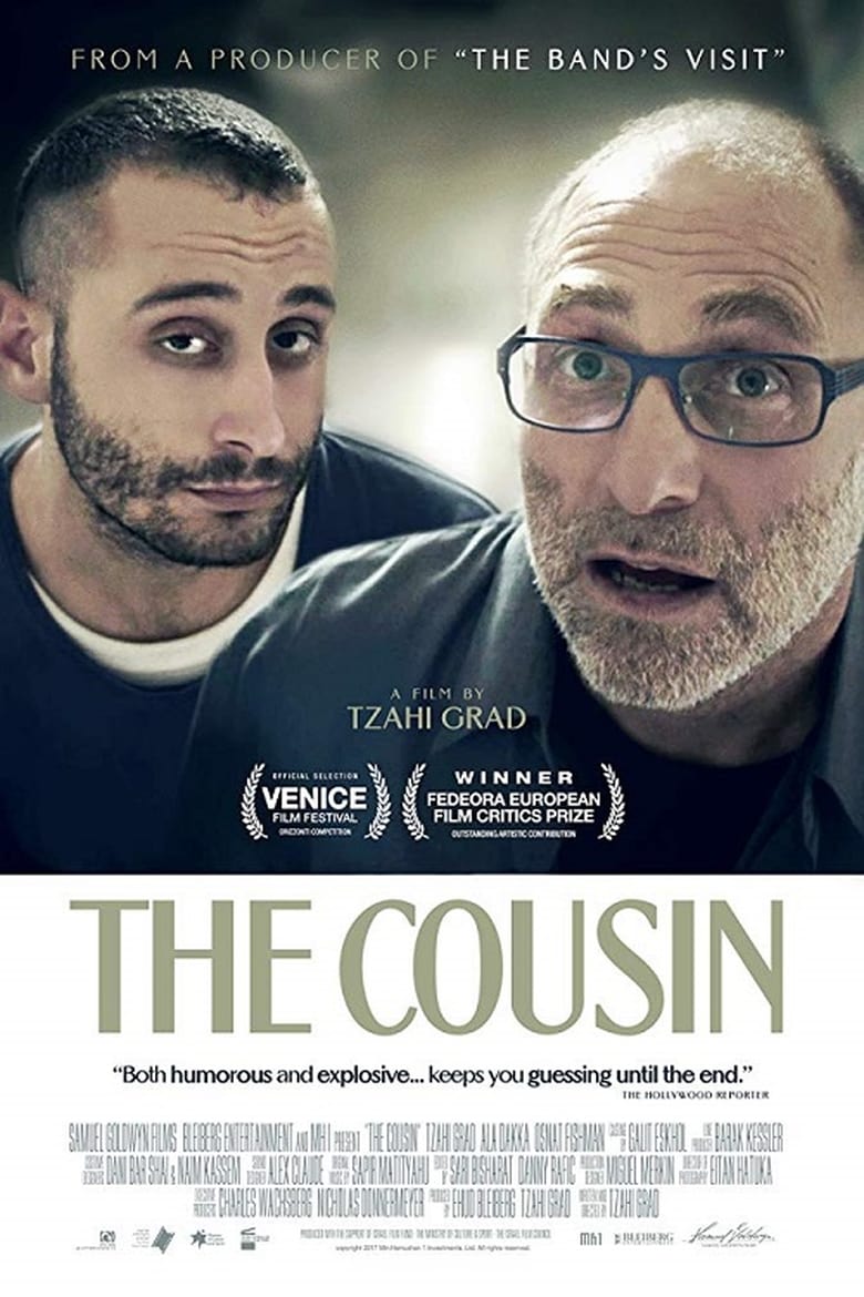 Poster of The Cousin