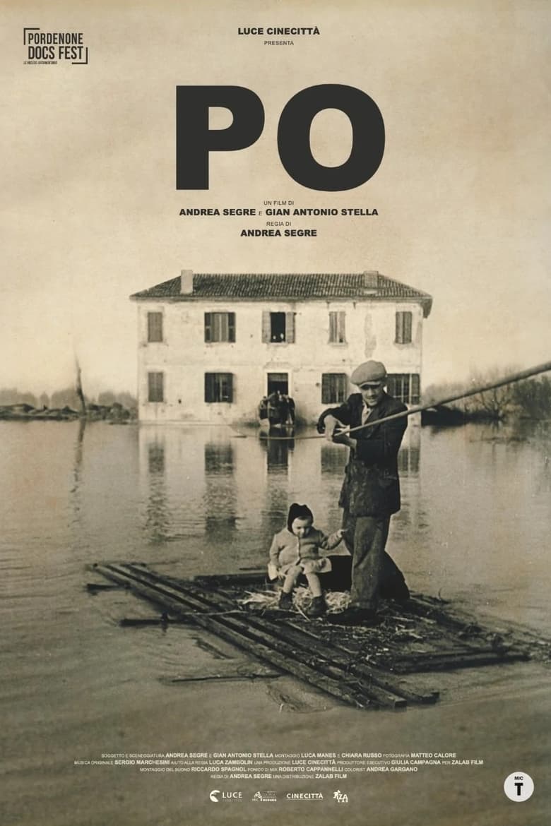 Poster of Po