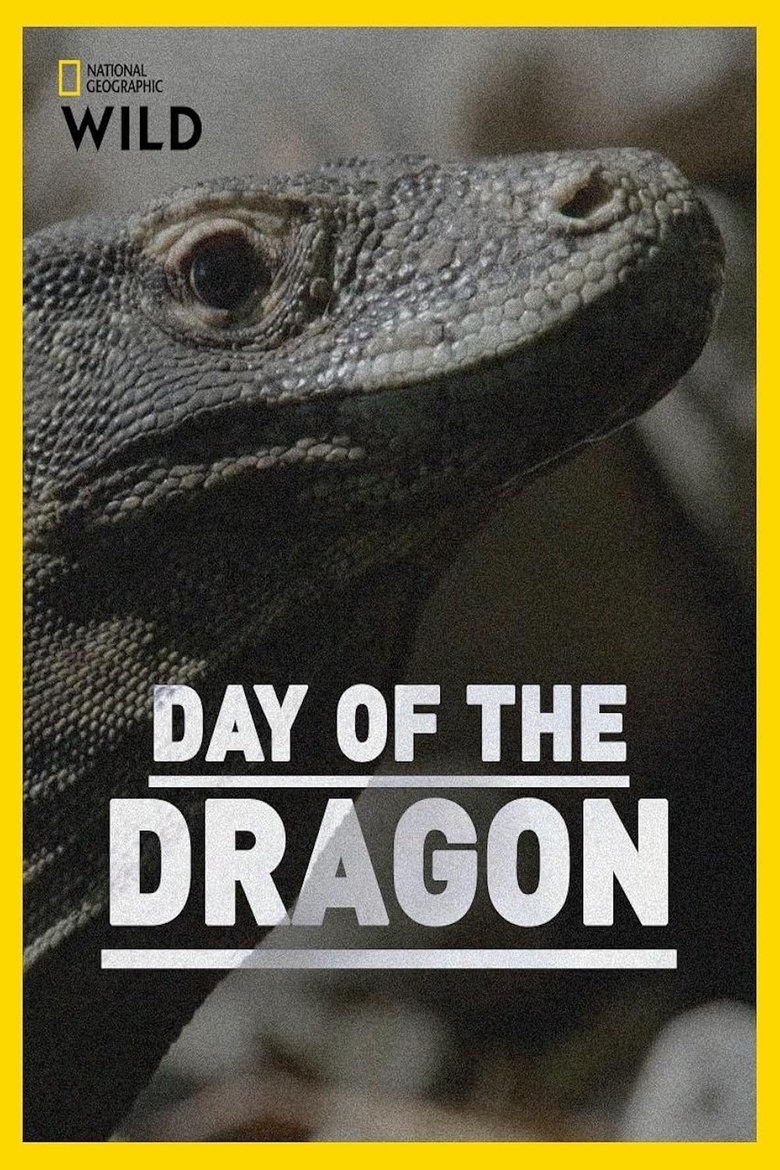Poster of Day of the Dragon