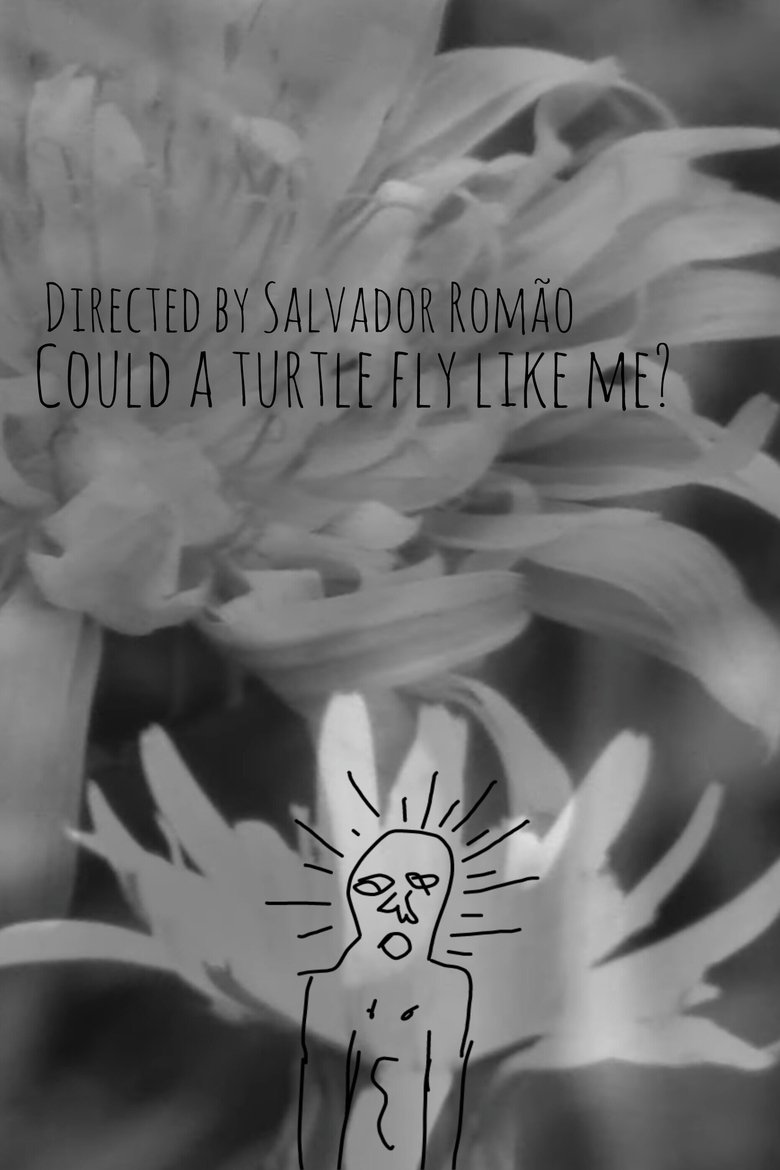 Poster of Could a turtle fly like me?