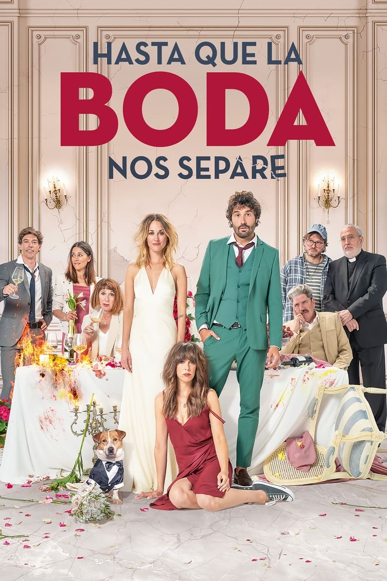 Poster of The Wedding Unplanner