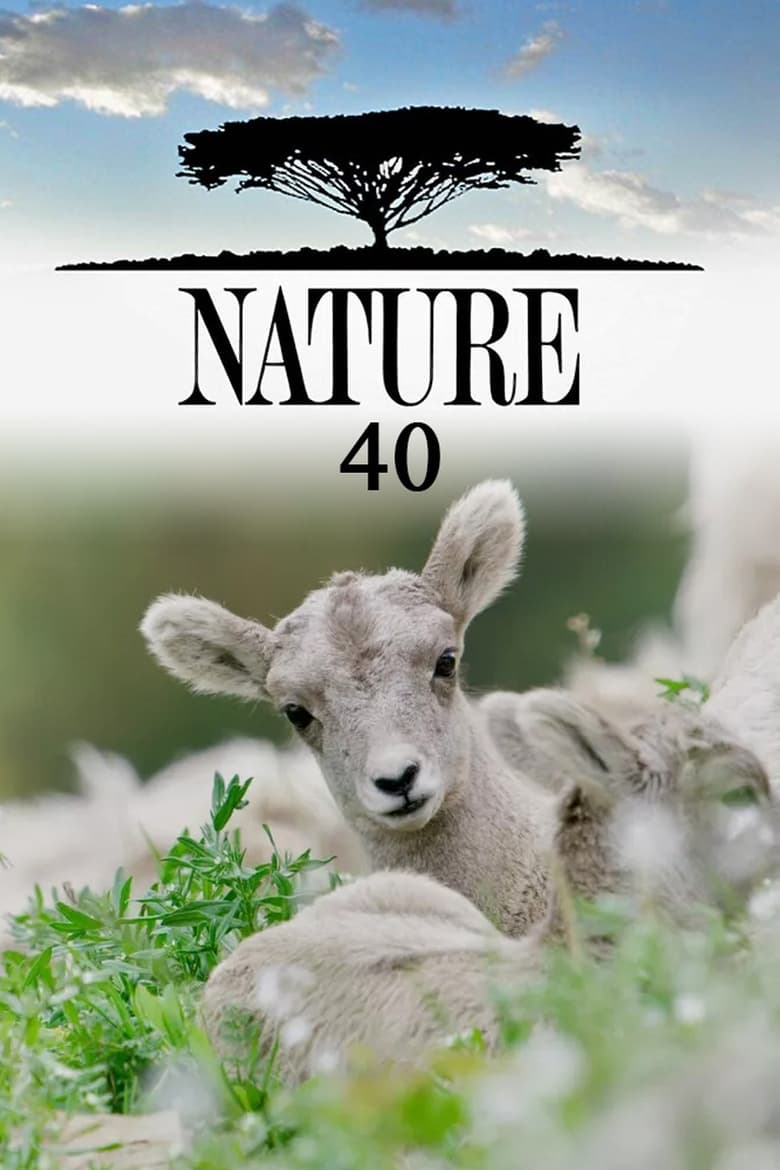 Poster of Episodes in Nature - Season 40 - Season 40