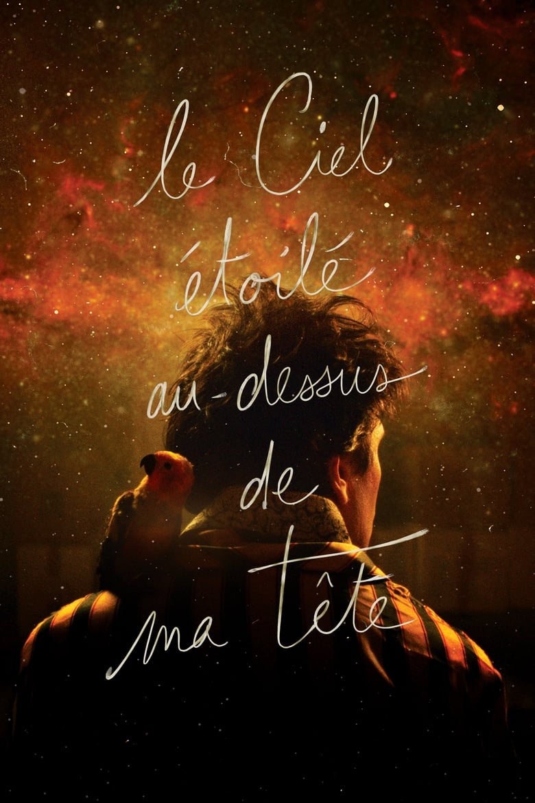 Poster of The Starry Sky Above Me