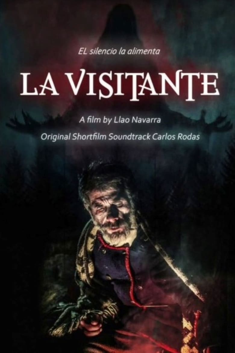 Poster of La visitante