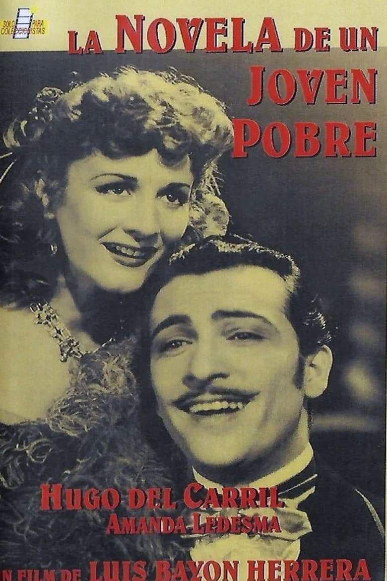 Poster of La novela de un joven pobre