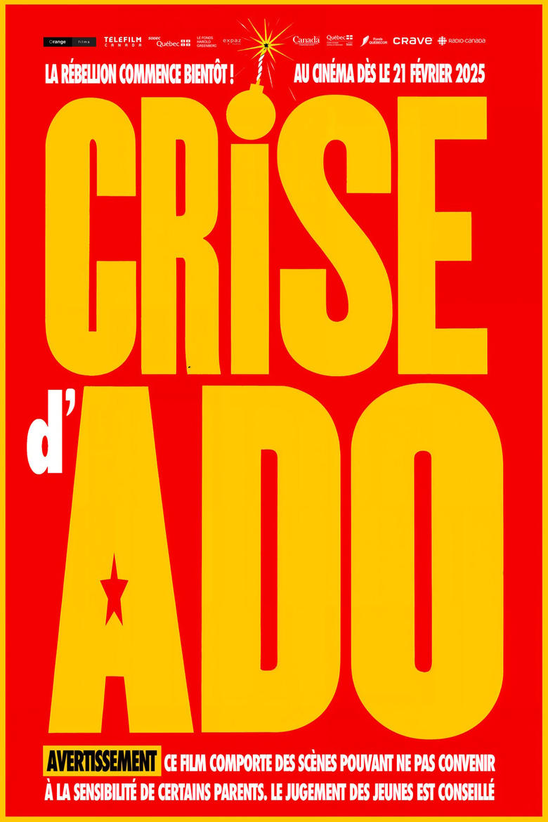 Poster of Crise d'ado