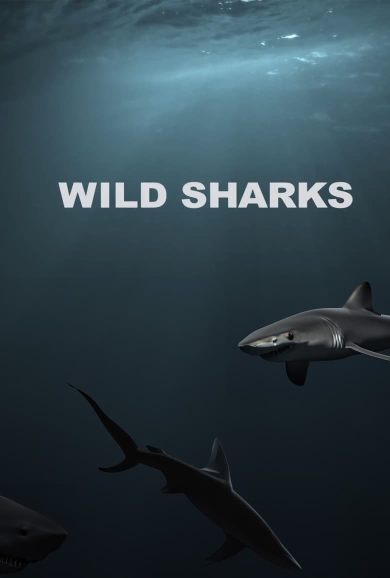 Poster of Wild Sharks