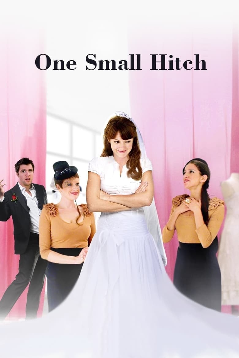 Poster of One Small Hitch