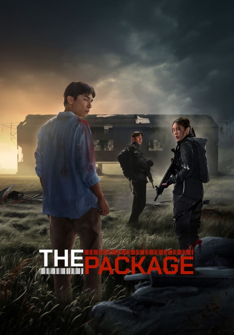 Poster of The Package