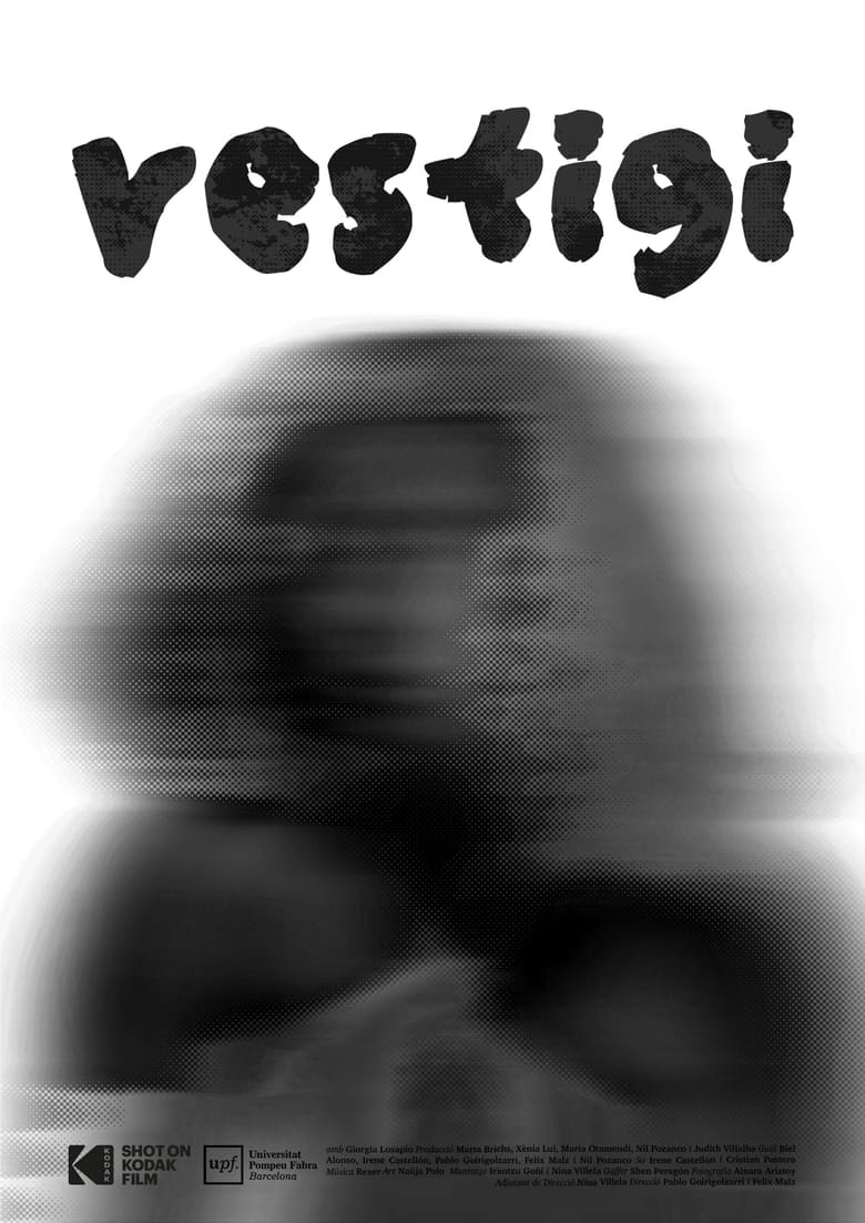 Poster of Vestigi