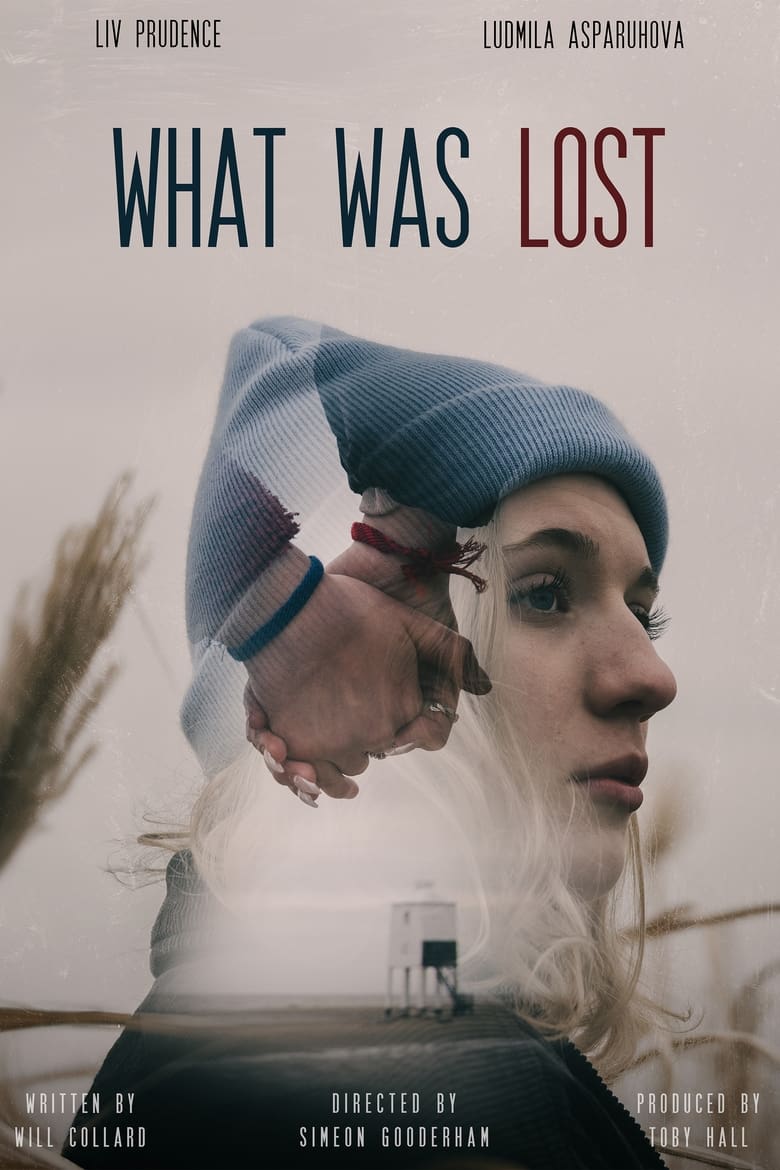 Poster of What Was Lost