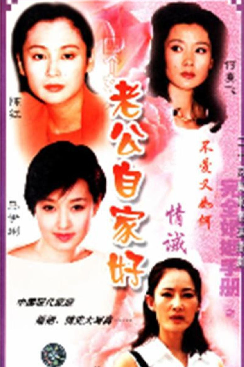 Poster of 完全婚姻手册