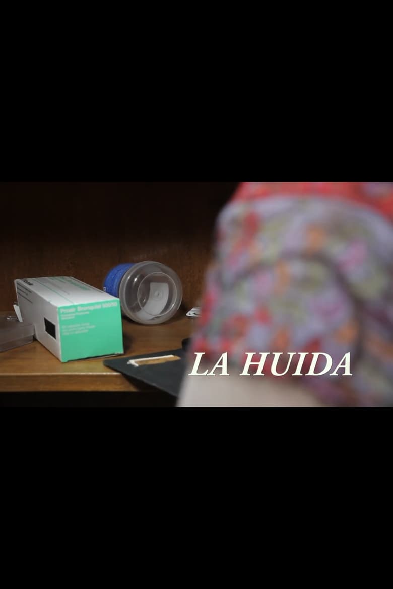 Poster of La huida