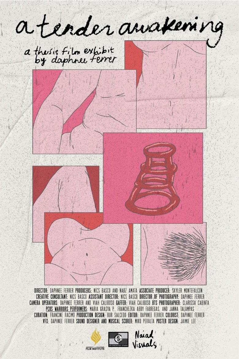 Poster of A Tender Awakening