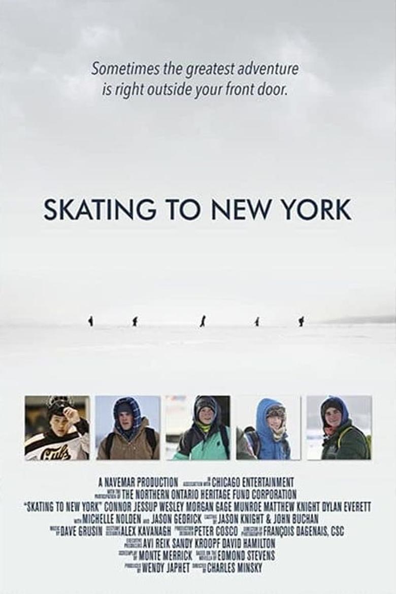 Poster of Skating to New York