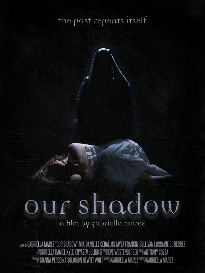 Poster of Our Shadow