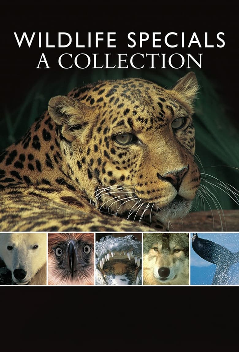 Poster of Wildlife Specials