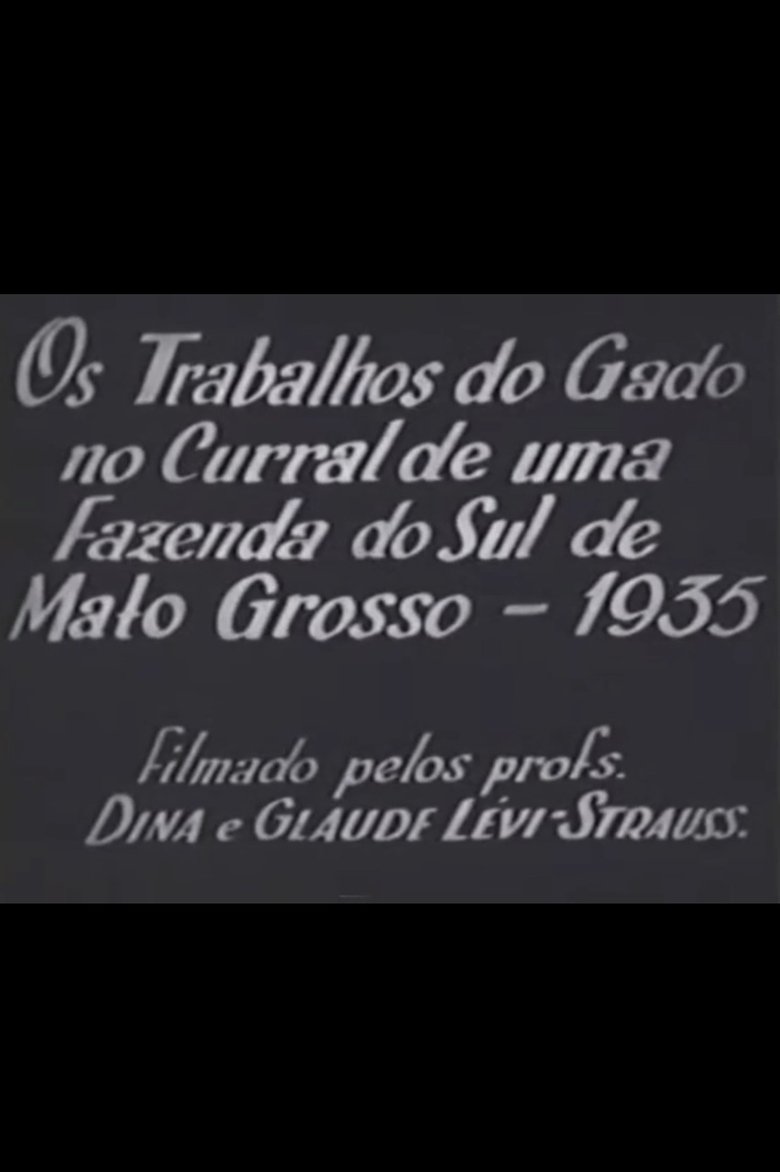 Poster of Cattle Work in the Corral of a Farm in Southern Mato Grosso