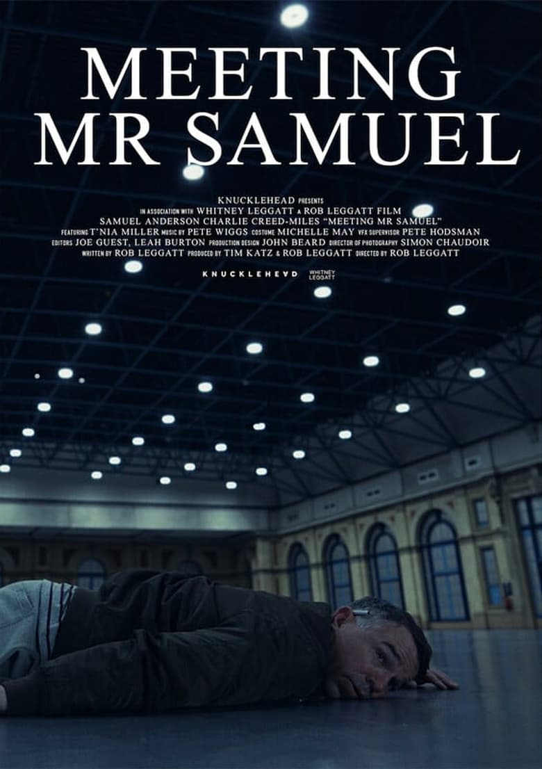 Poster of Meeting Mr Samuel