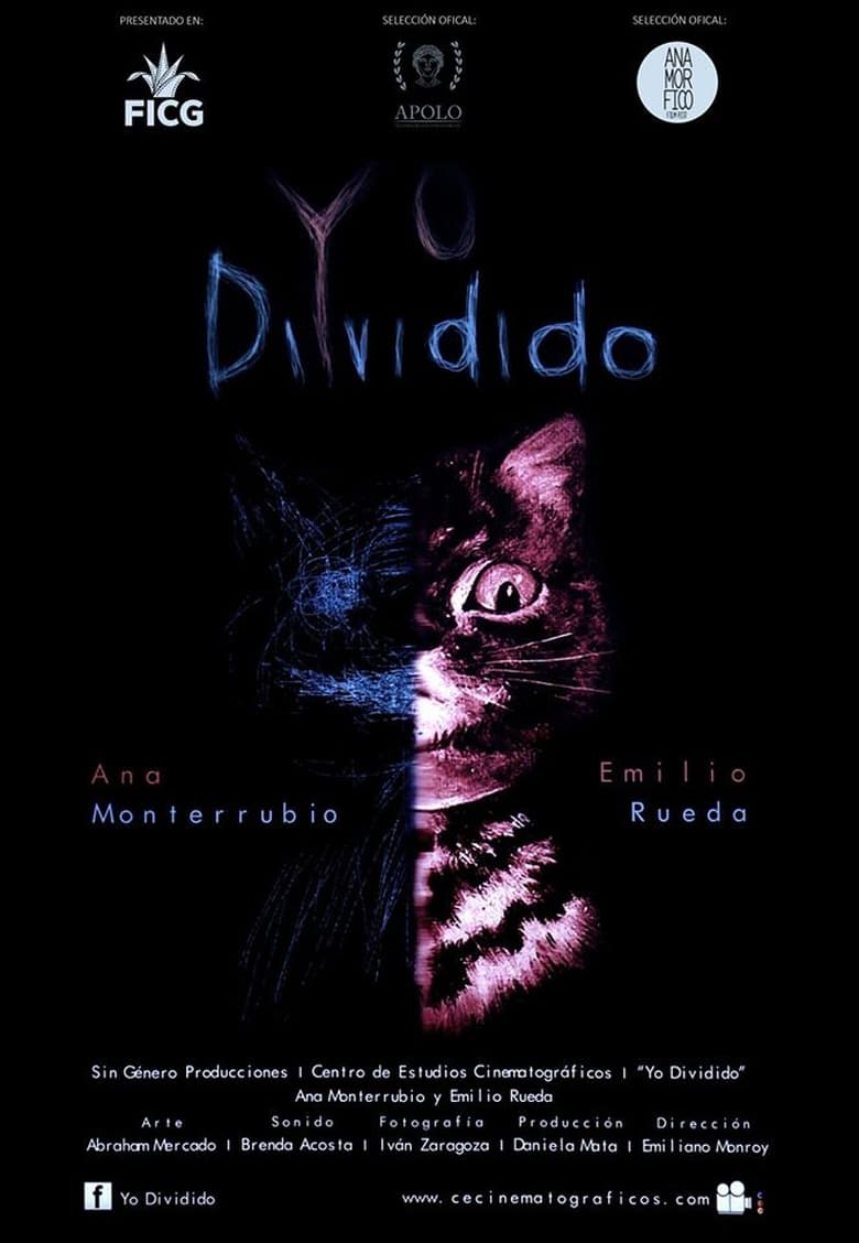 Poster of Yo Dividido