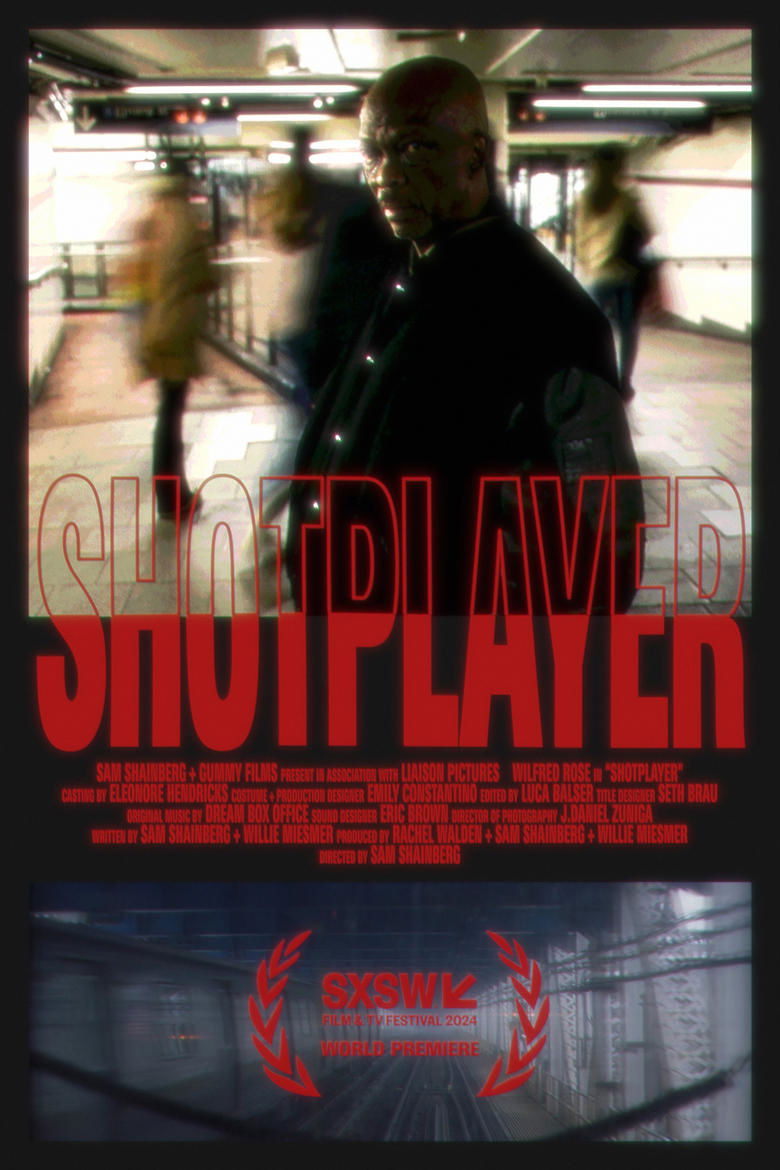 Poster of Shotplayer