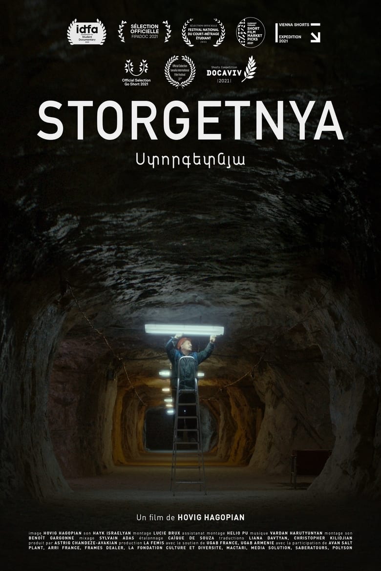 Poster of Storgetnya