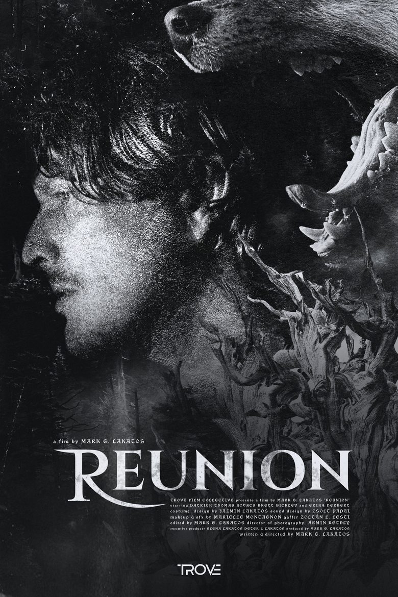 Poster of Reunion