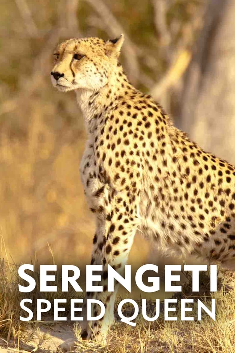 Poster of Serengeti Speed Queen