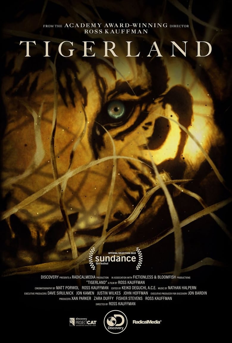 Poster of Tigerland