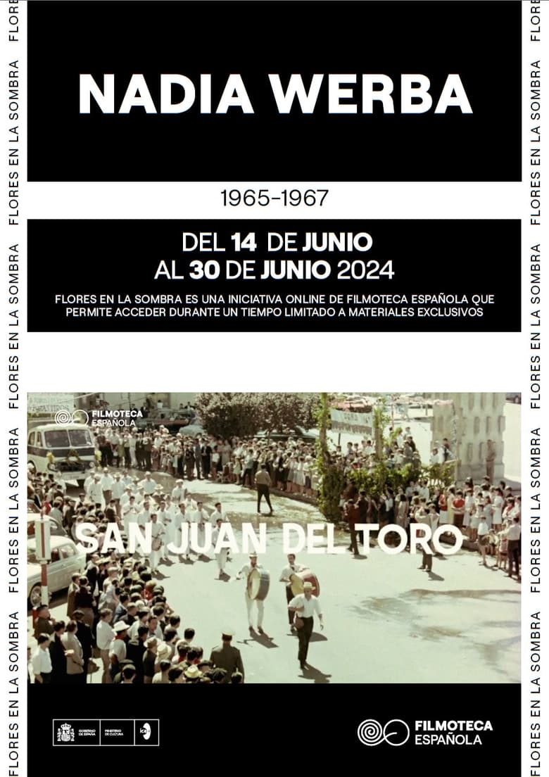 Poster of San Juan del Toro