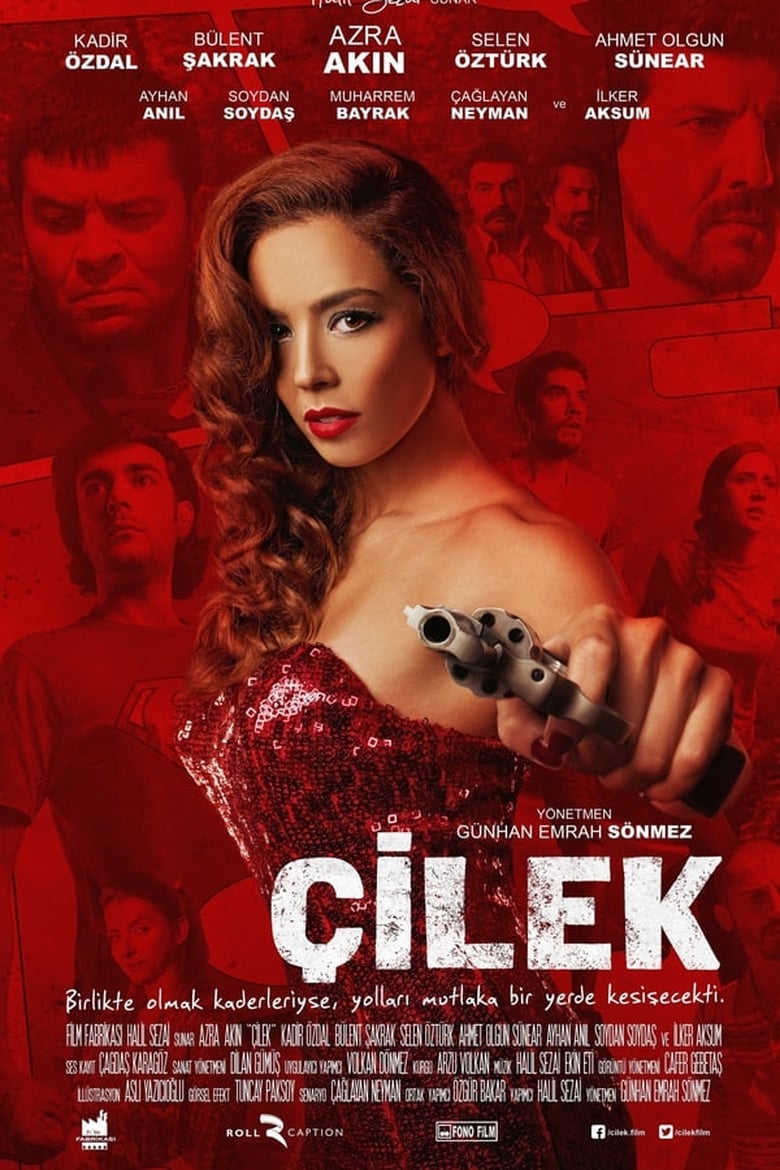 Poster of Çilek