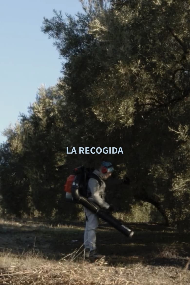 Poster of La Recogida