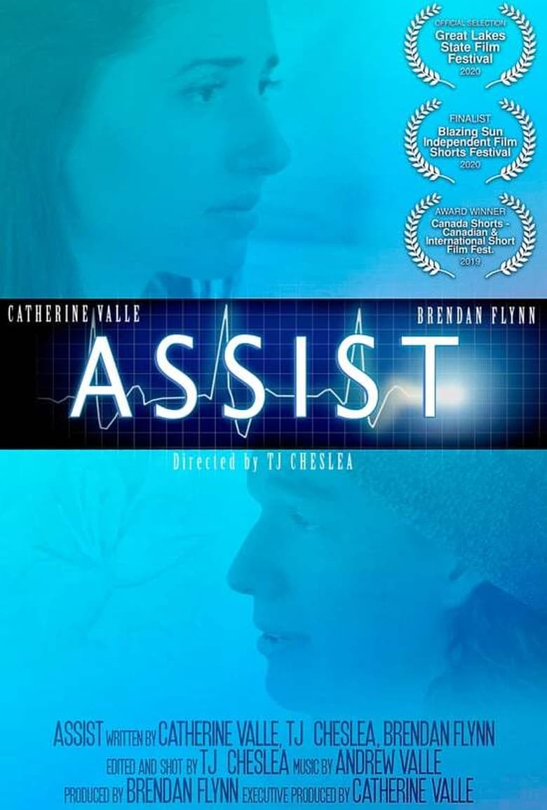 Poster of Assist