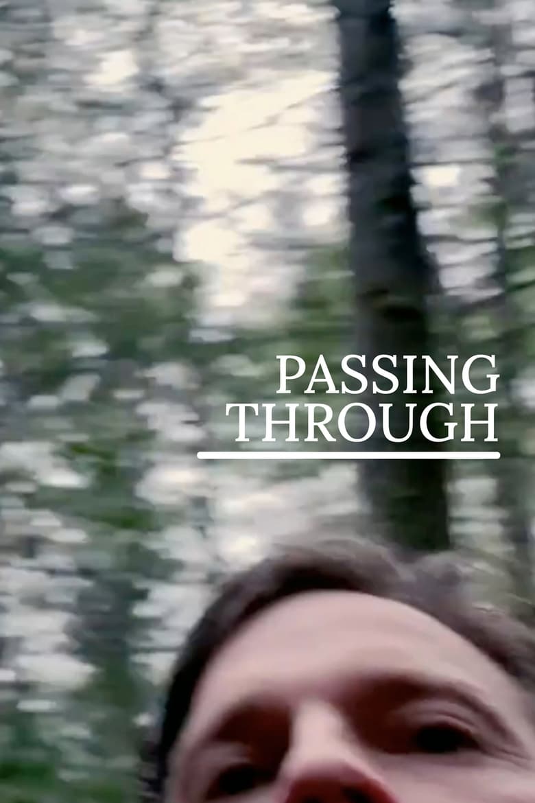 Poster of Passing Through