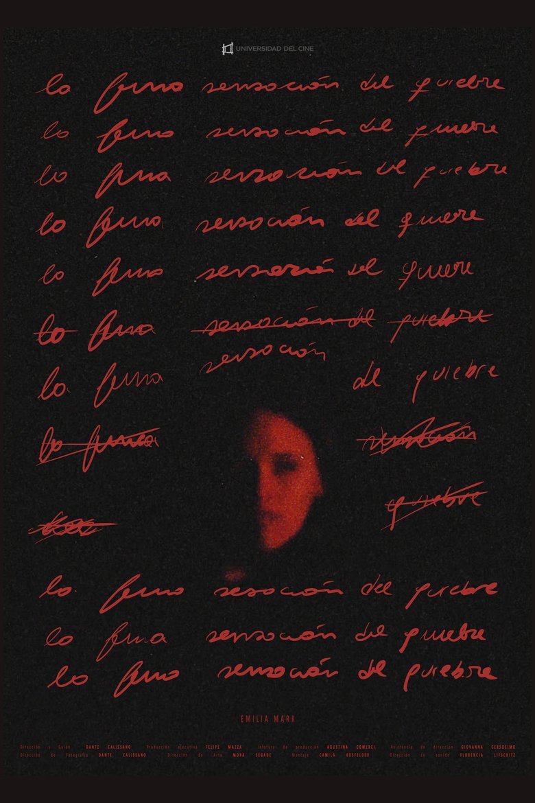 Poster of La fina sensación del quiebre