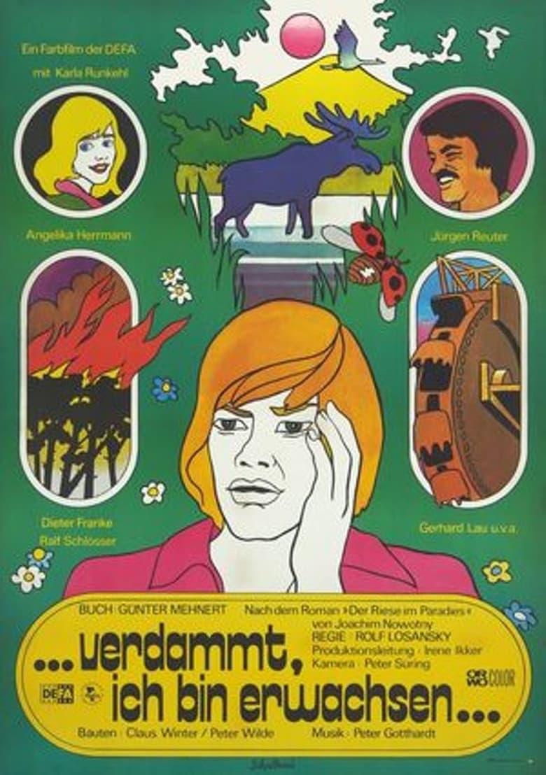 Poster of … verdammt, ich bin erwachsen