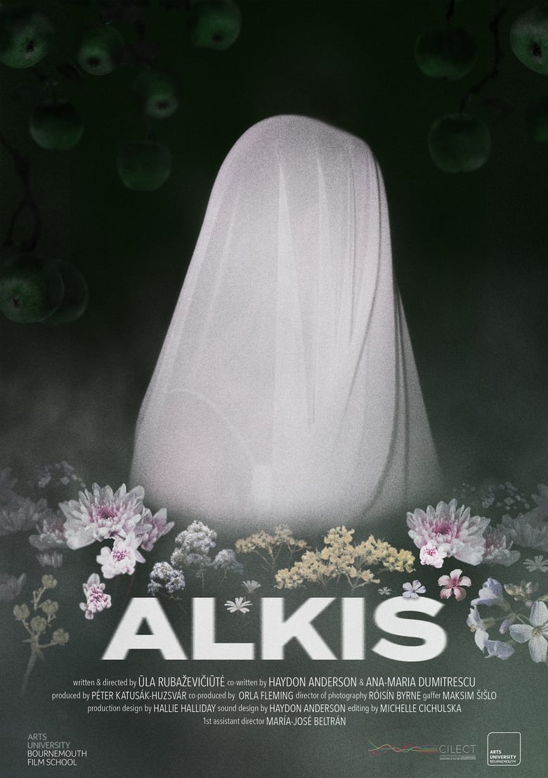 Poster of Alkis