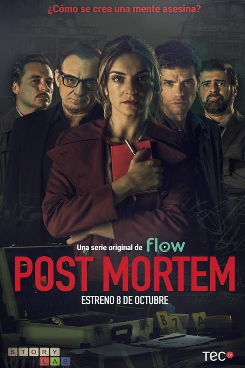 Poster of Post Mortem