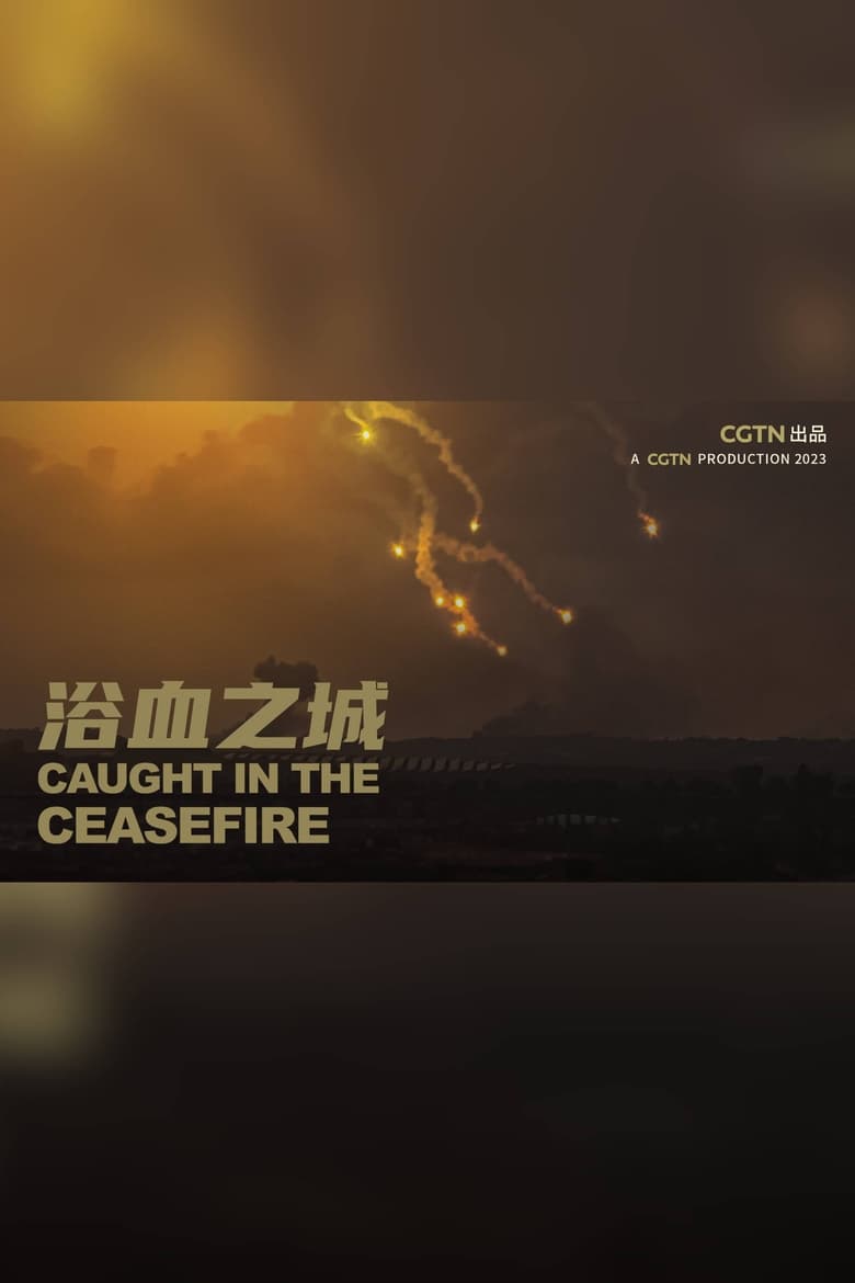 Poster of Caught in the ceasefire