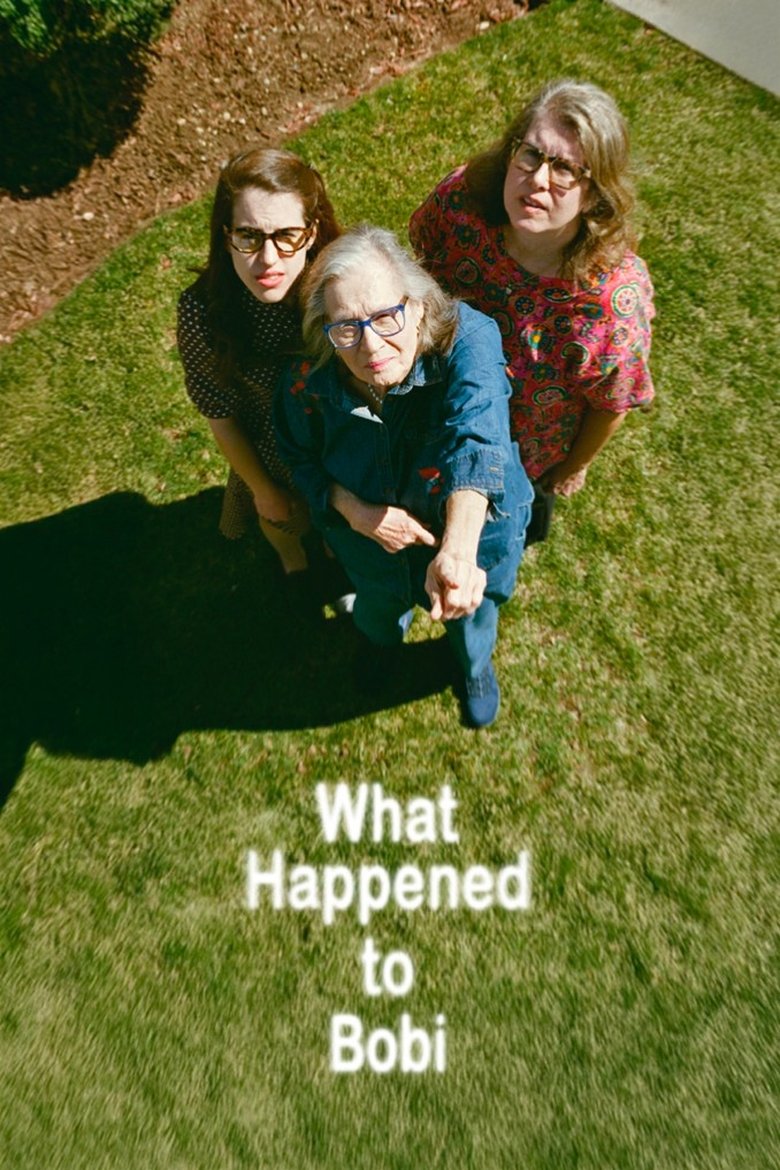 Poster of What Happened to Bobi