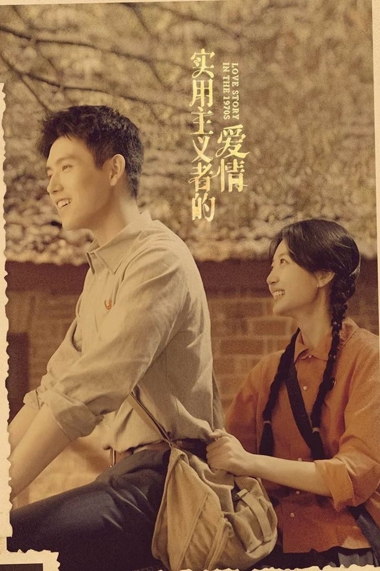 Poster of Love Story in the 1970s