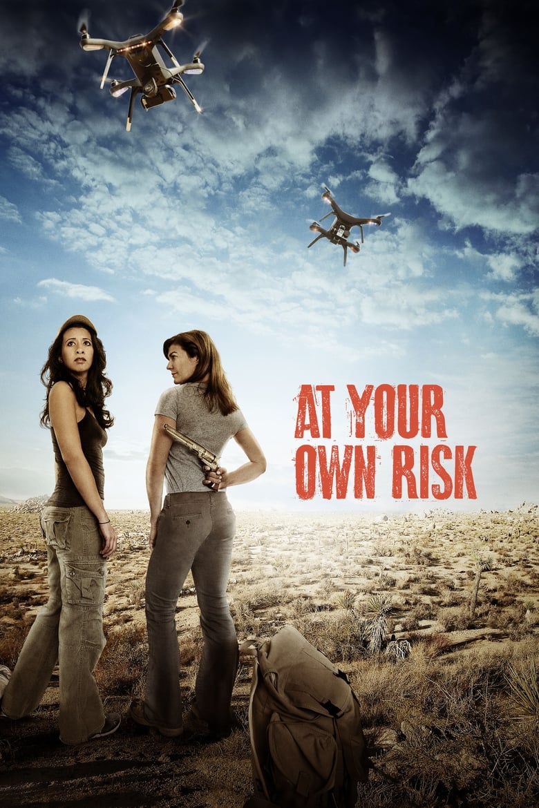 Poster of At Your Own Risk