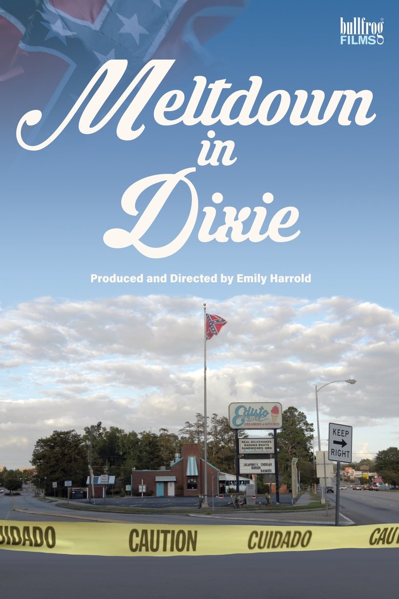 Poster of Meltdown in Dixie
