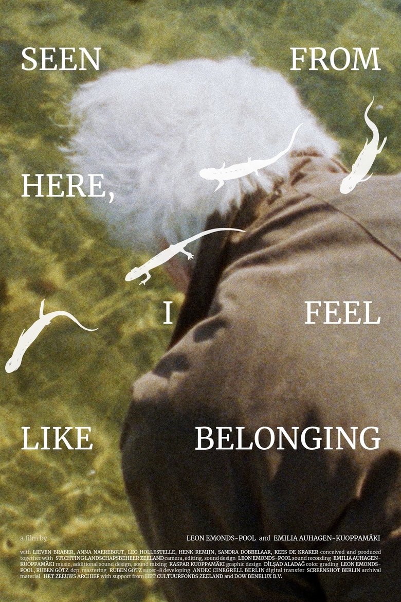 Poster of Seen From Here, I Feel Like Belonging