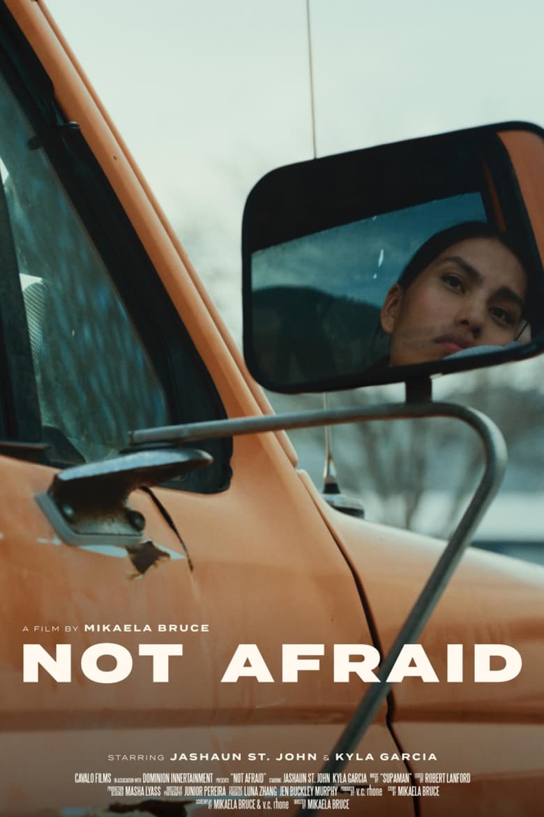 Poster of Not Afraid