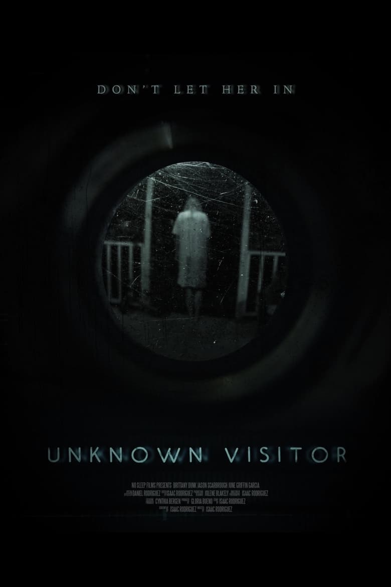 Poster of Unknown Visitor